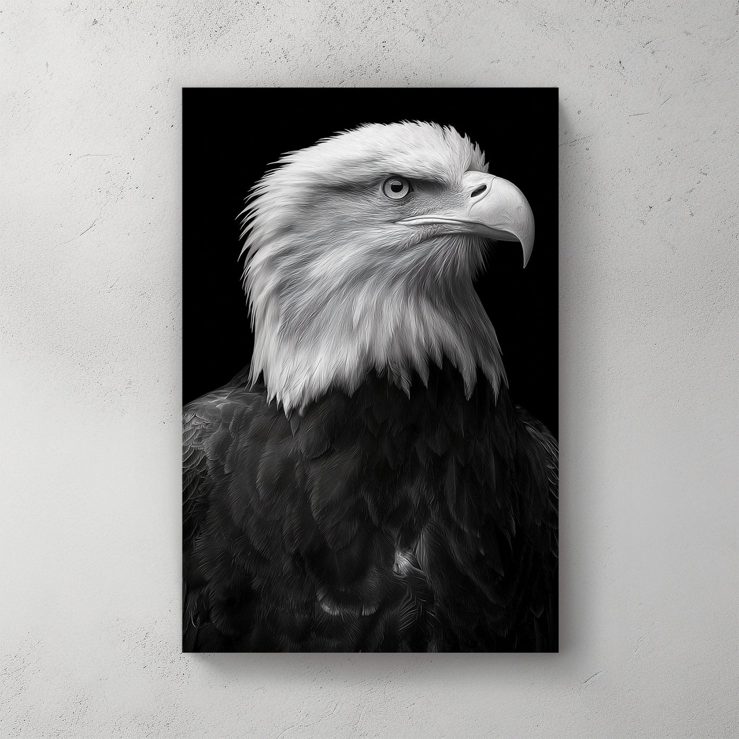bald eagle portrait wall art in black and white