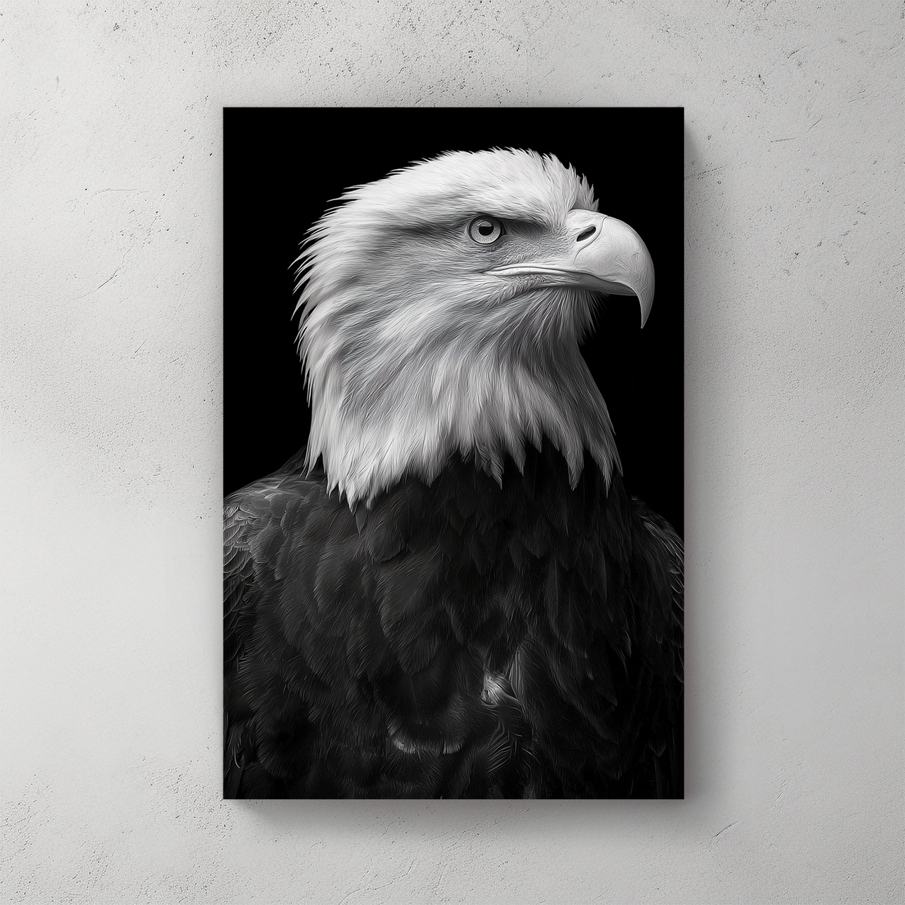 bald eagle portrait wall art in black and white