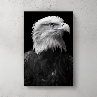 bald eagle portrait wall art in black and white