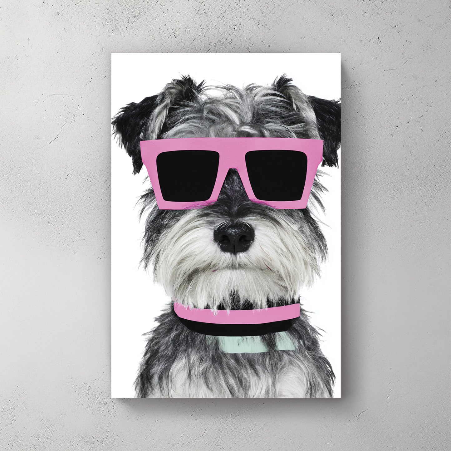 Schnauzer dog grey-white fur with pink rectangular sunglasses, mint green collar, white background, simple portrait — canvas wall art print