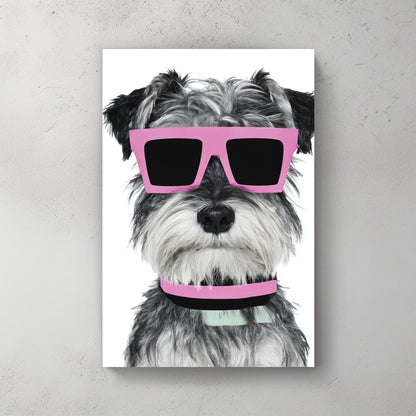 Schnauzer dog grey-white fur with pink rectangular sunglasses, mint green collar, white background, simple portrait — canvas wall art print