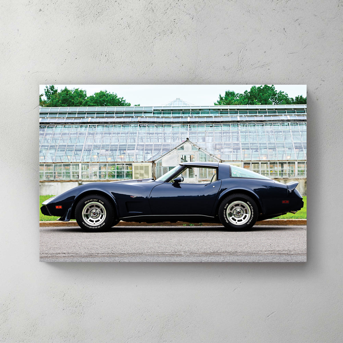 Deep navy C3 Corvette in profile in front of a vintage glass greenhouse, raised-white-letter tires — canvas wall art print