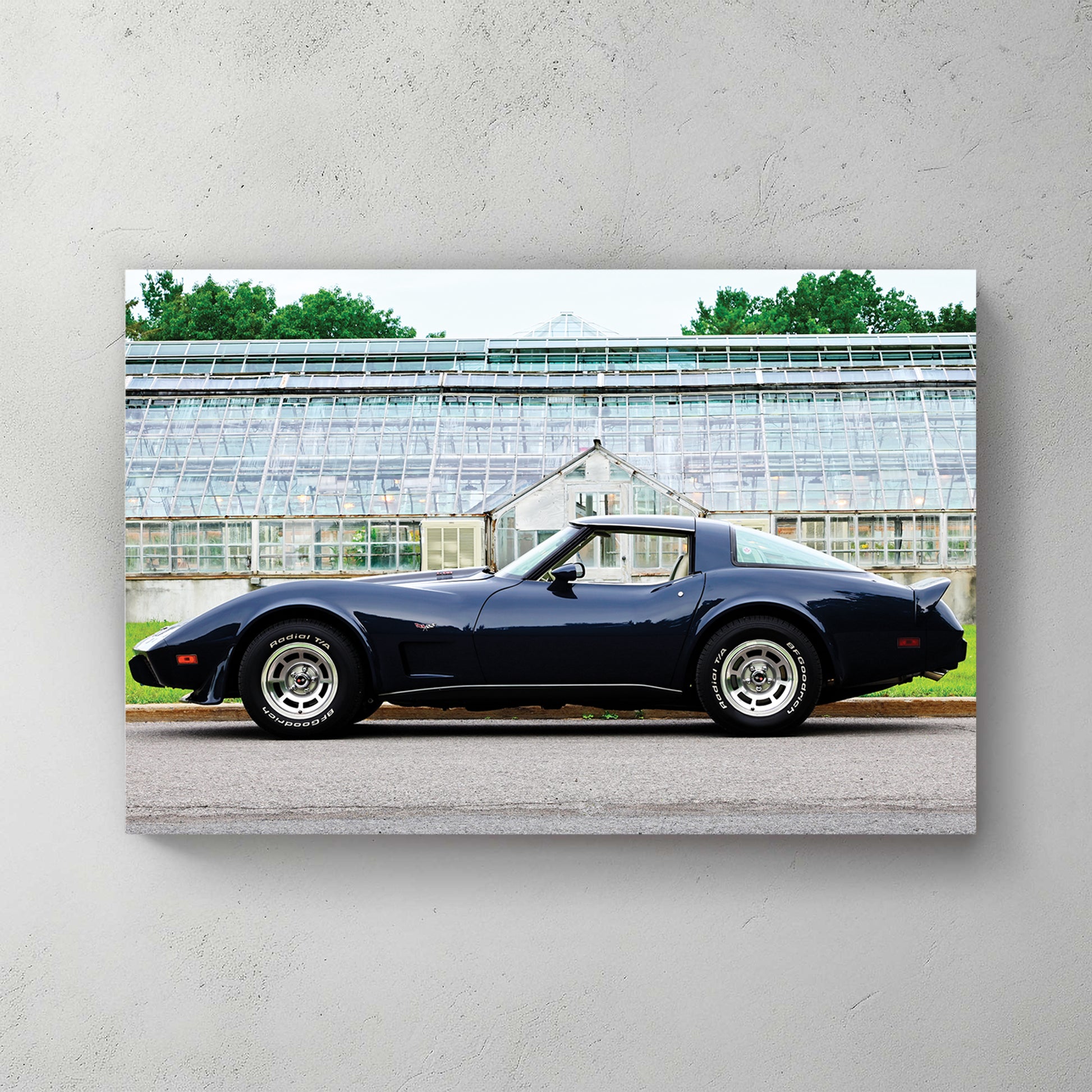Deep navy C3 Corvette in profile in front of a vintage glass greenhouse, raised-white-letter tires — canvas wall art print