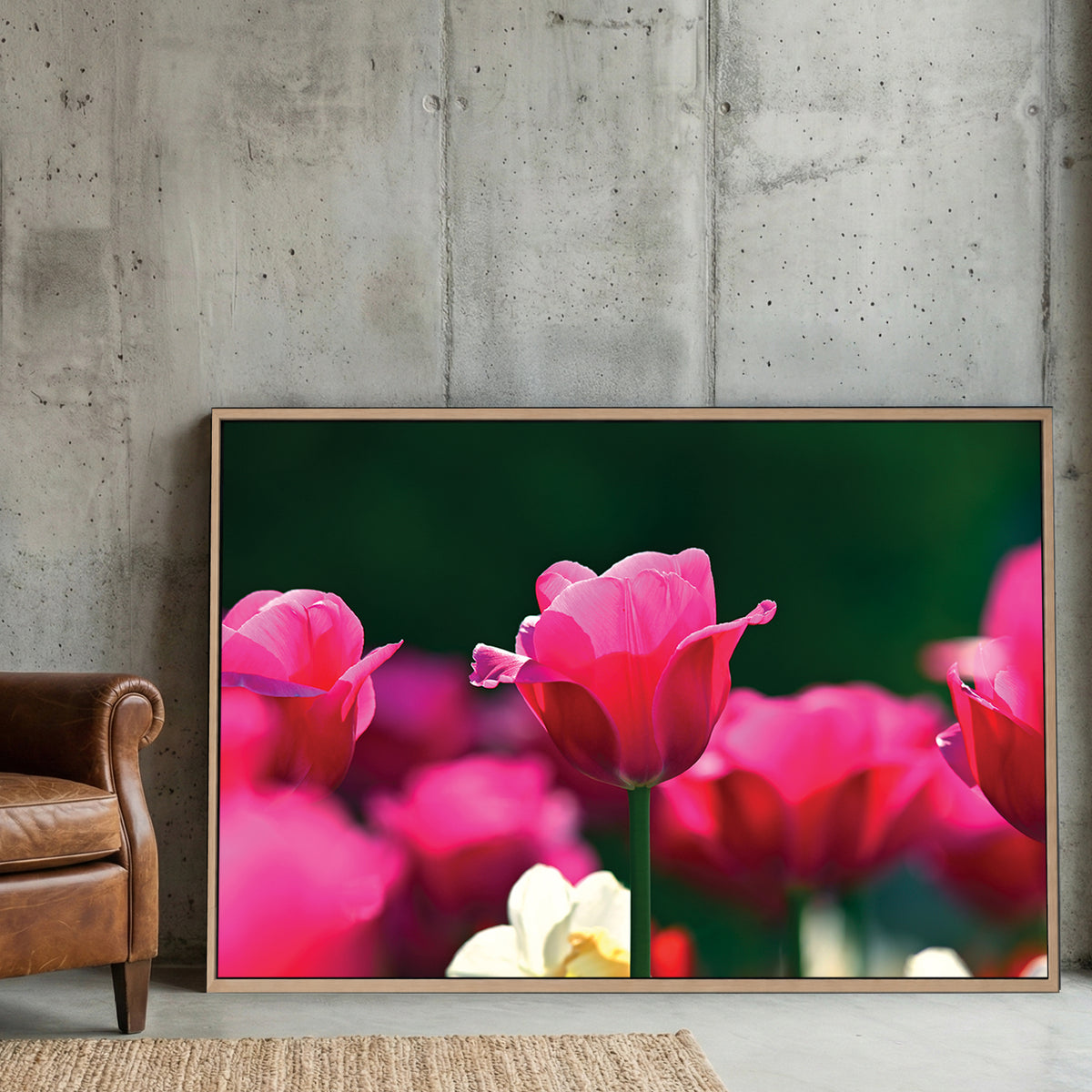 Pink Tulips Garden canvas wall art print displayed in a styled living room