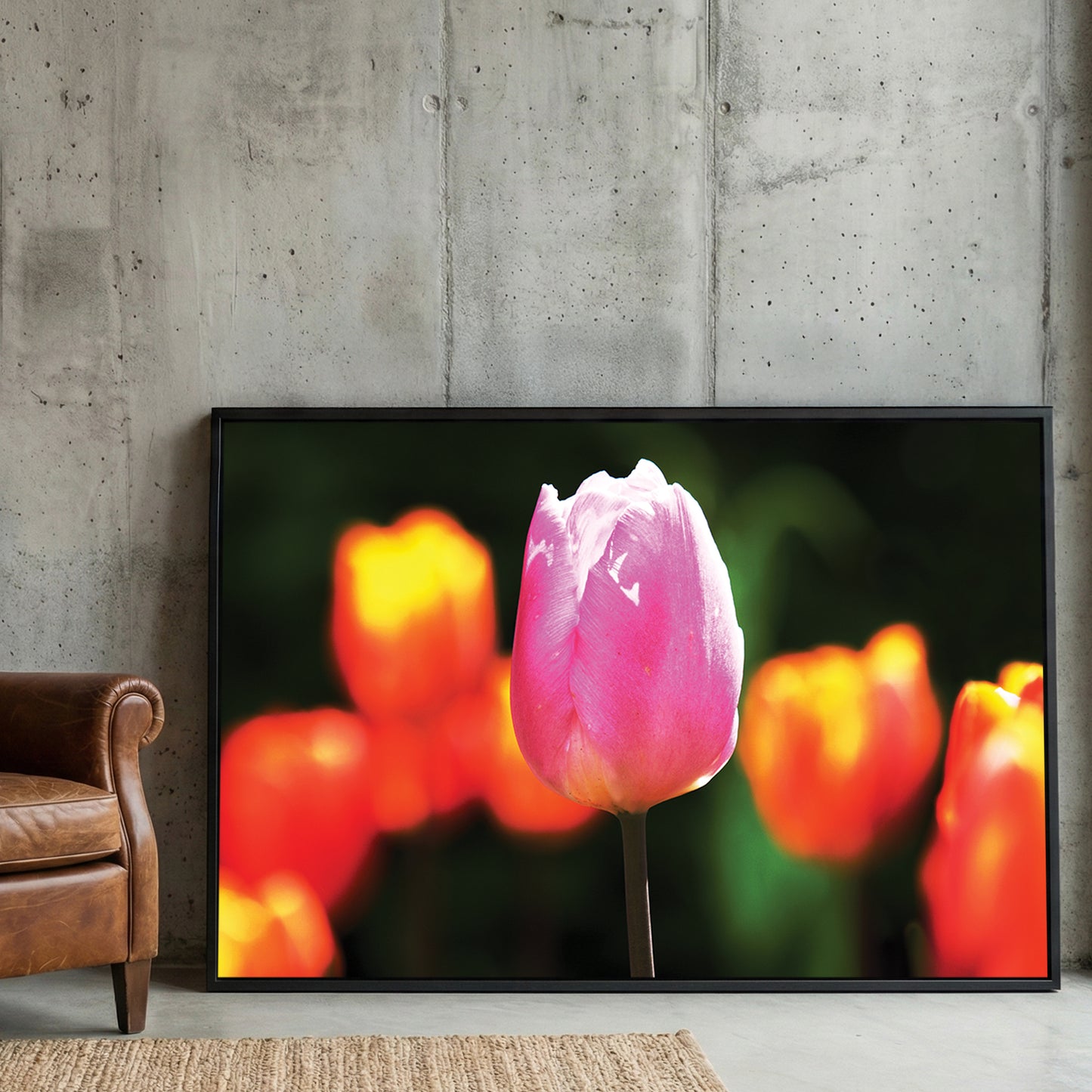 Pink Tulip Spring Bloom framed canvas wall art print in a gallery-style display