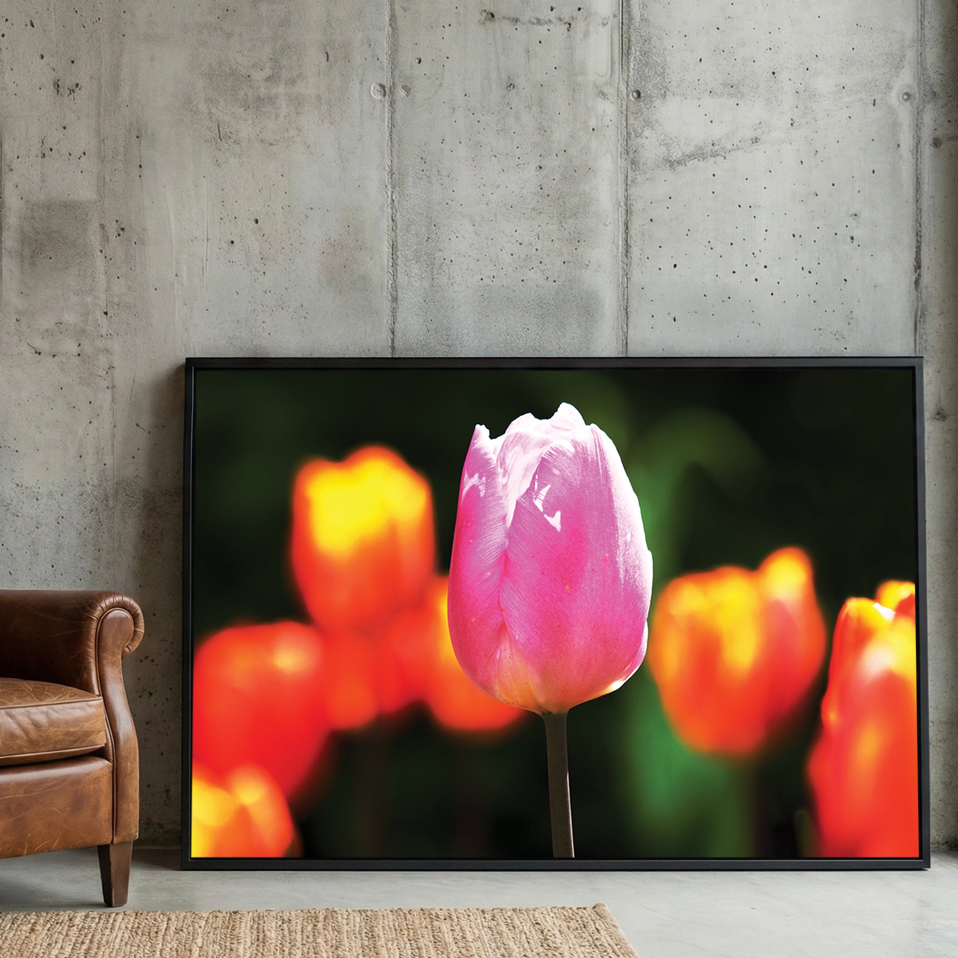 Pink Tulip Spring Bloom framed canvas wall art print in a gallery-style display
