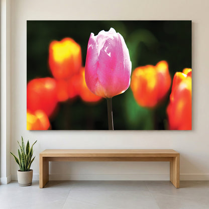 Pink Tulip Spring Bloom canvas wall art print displayed in a styled living room