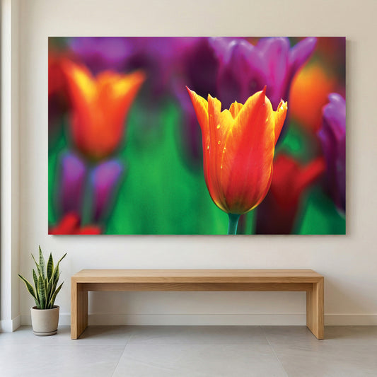 Orange Tulip Purple Bloom canvas wall art print displayed in a styled living room
