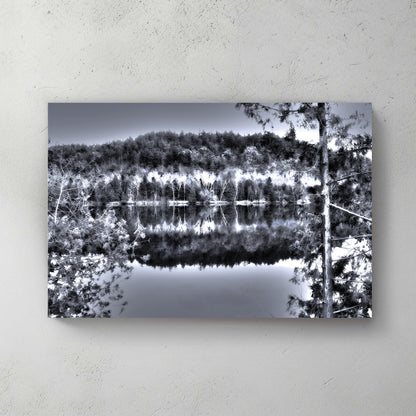 Moody desaturated forest and hillside mirrored in a glass-calm river, cool silvery light — canvas wall art print