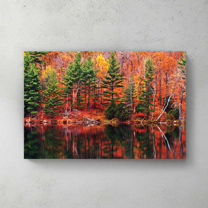 Blazing orange and green autumn forest mirrored in a still lake, pines breaking up the colour — canvas wall art print