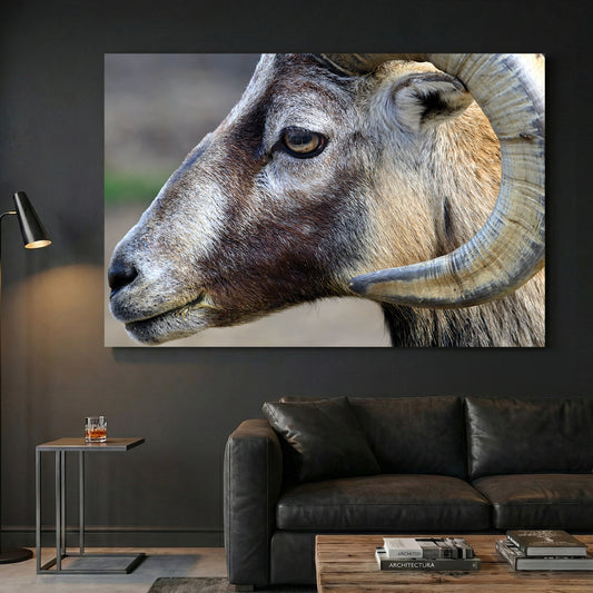 Mountain Ram Portrait canvas wall art print displayed in a styled living room