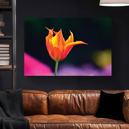 Orange Tulip Garden canvas wall art print styled in a modern interior