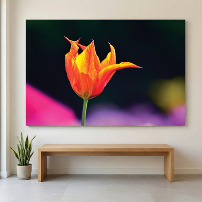Orange Tulip Garden canvas wall art print displayed in a styled living room