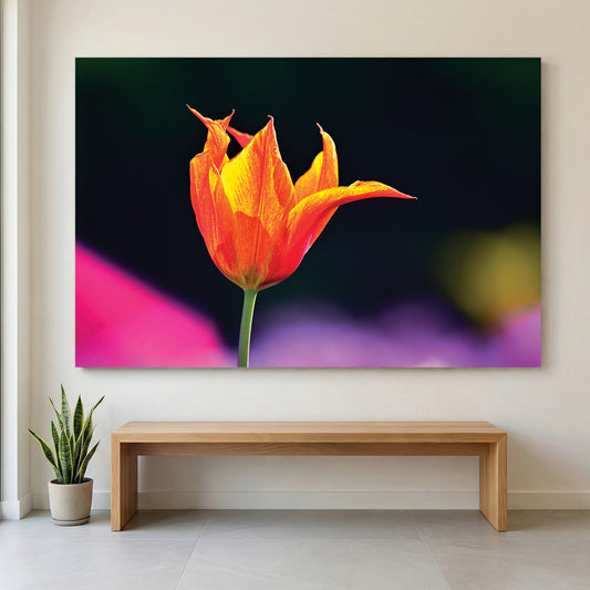 Orange Tulip Garden canvas wall art print displayed in a styled living room