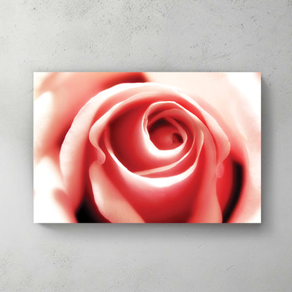 Dreamy soft-focus macro of a pale pink rose spiralling from its centre, gentle and romantic — canvas wall art print