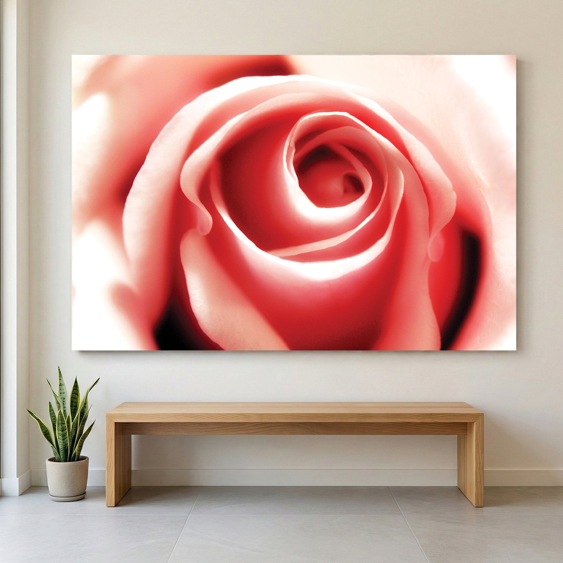 Pink Rose Soft Focus canvas wall art print displayed in a styled living room