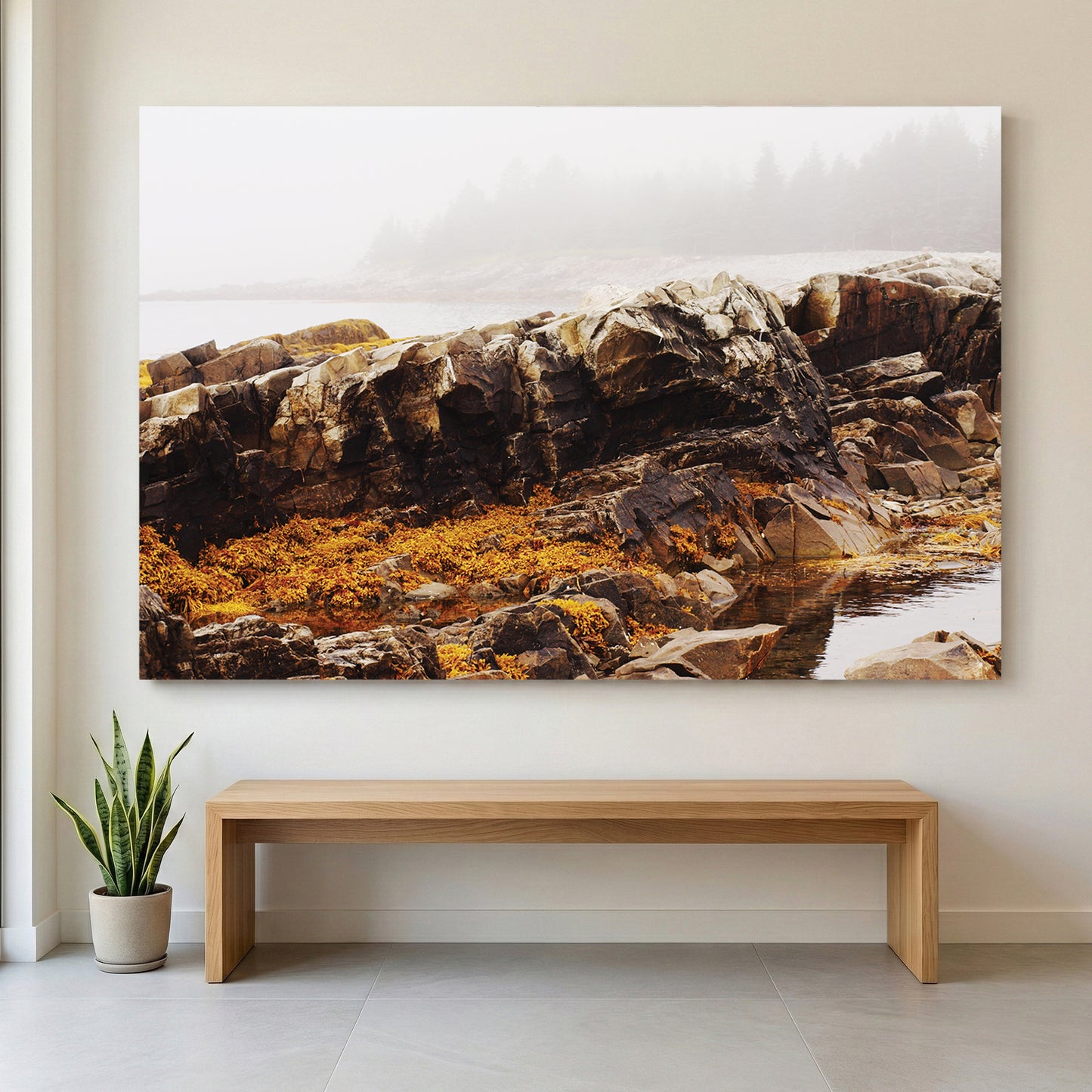 Foggy Coastal Rocks canvas wall art print displayed in a styled living room
