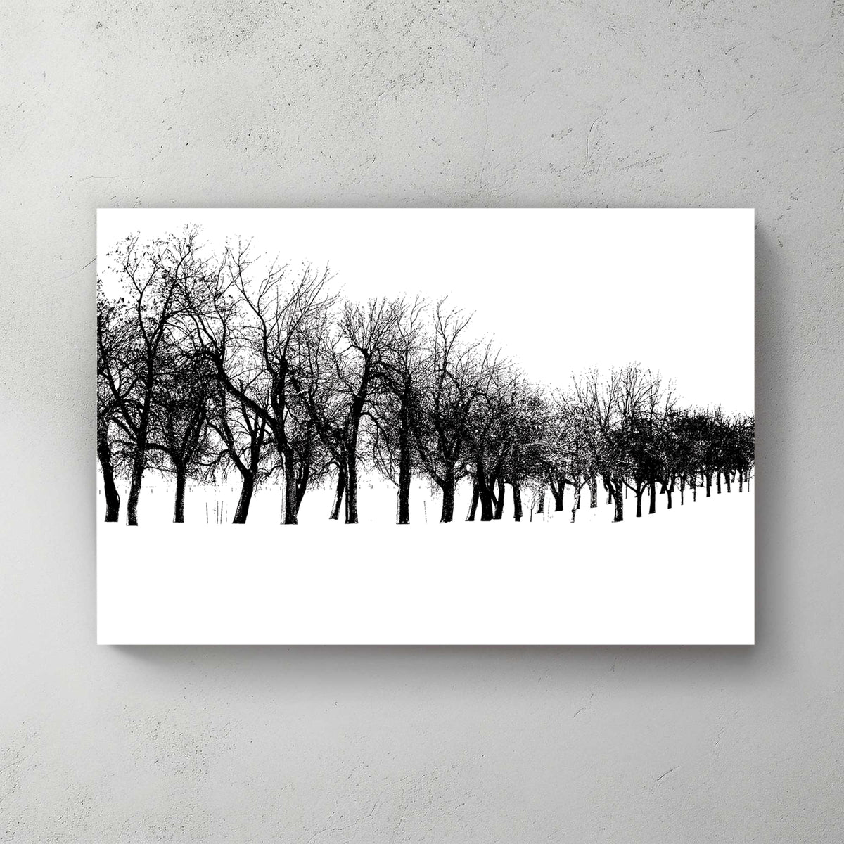 Stark row of bare black trees receding across pure white snow, high-contrast minimalist — canvas wall art print
