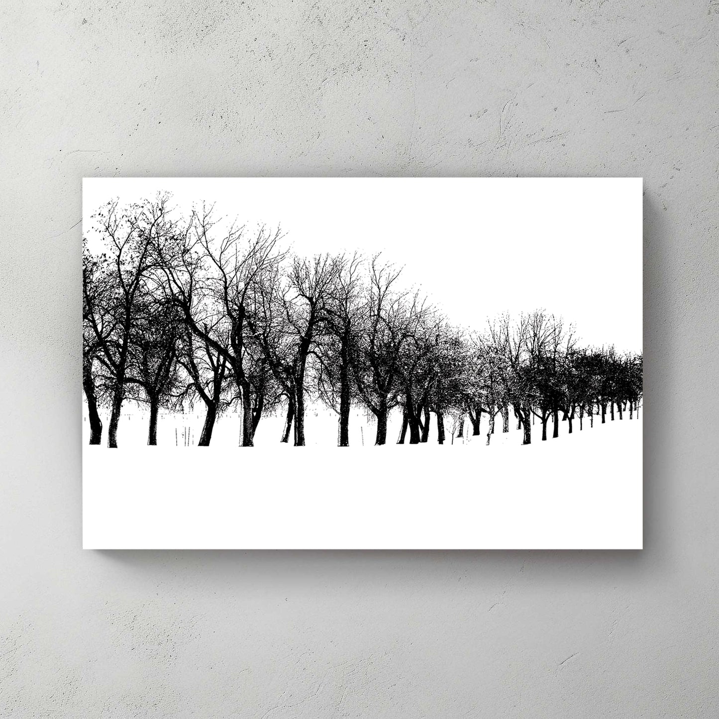 Stark row of bare black trees receding across pure white snow, high-contrast minimalist — canvas wall art print