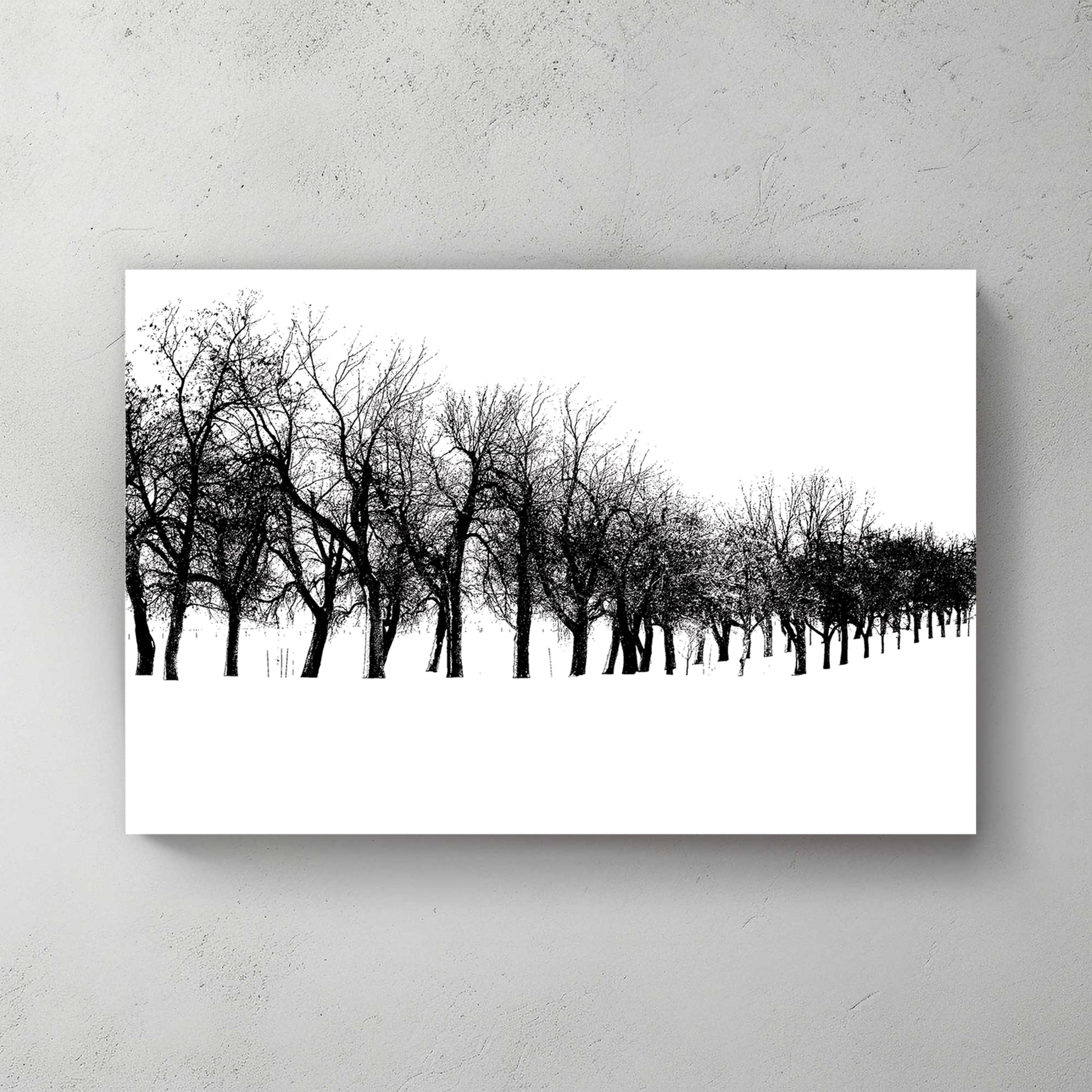 Stark row of bare black trees receding across pure white snow, high-contrast minimalist — canvas wall art print