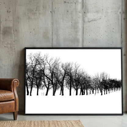 Winter Tree Line framed canvas wall art print in a gallery-style display