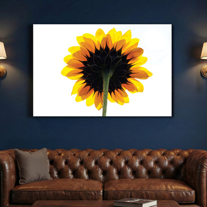 Backlit Sunflower canvas wall art print above a sofa in a contemporary living room