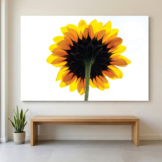 Backlit Sunflower canvas wall art print displayed in a styled living room