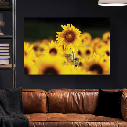 Sunflower Field canvas wall art print styled in a modern interior