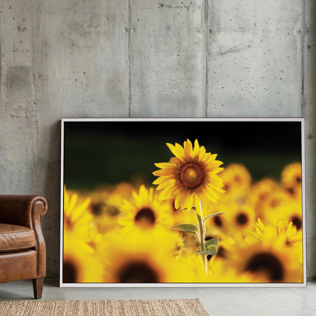 Sunflower Field canvas wall art print displayed in a styled living room