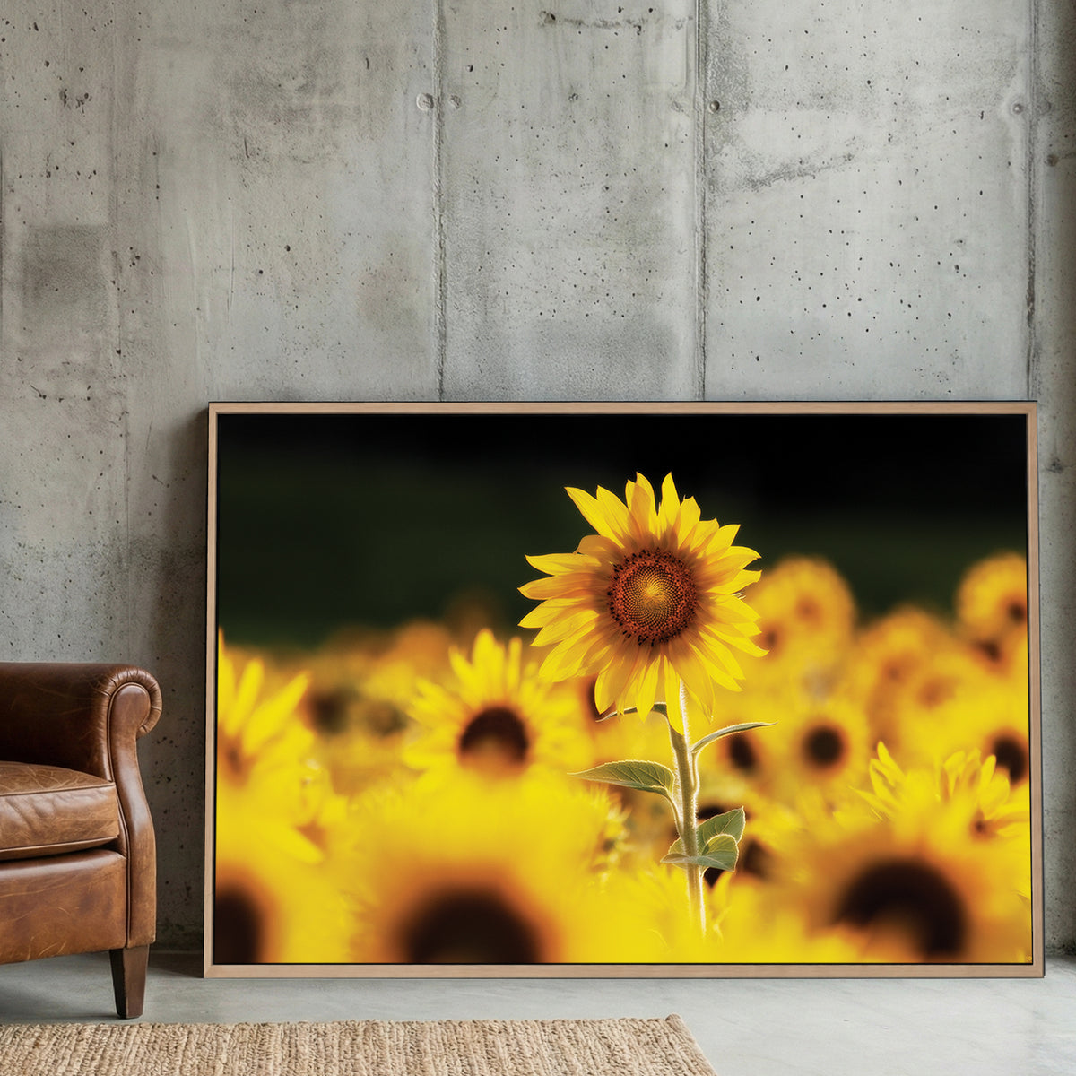 Sunflower Field canvas wall art print displayed in a styled living room