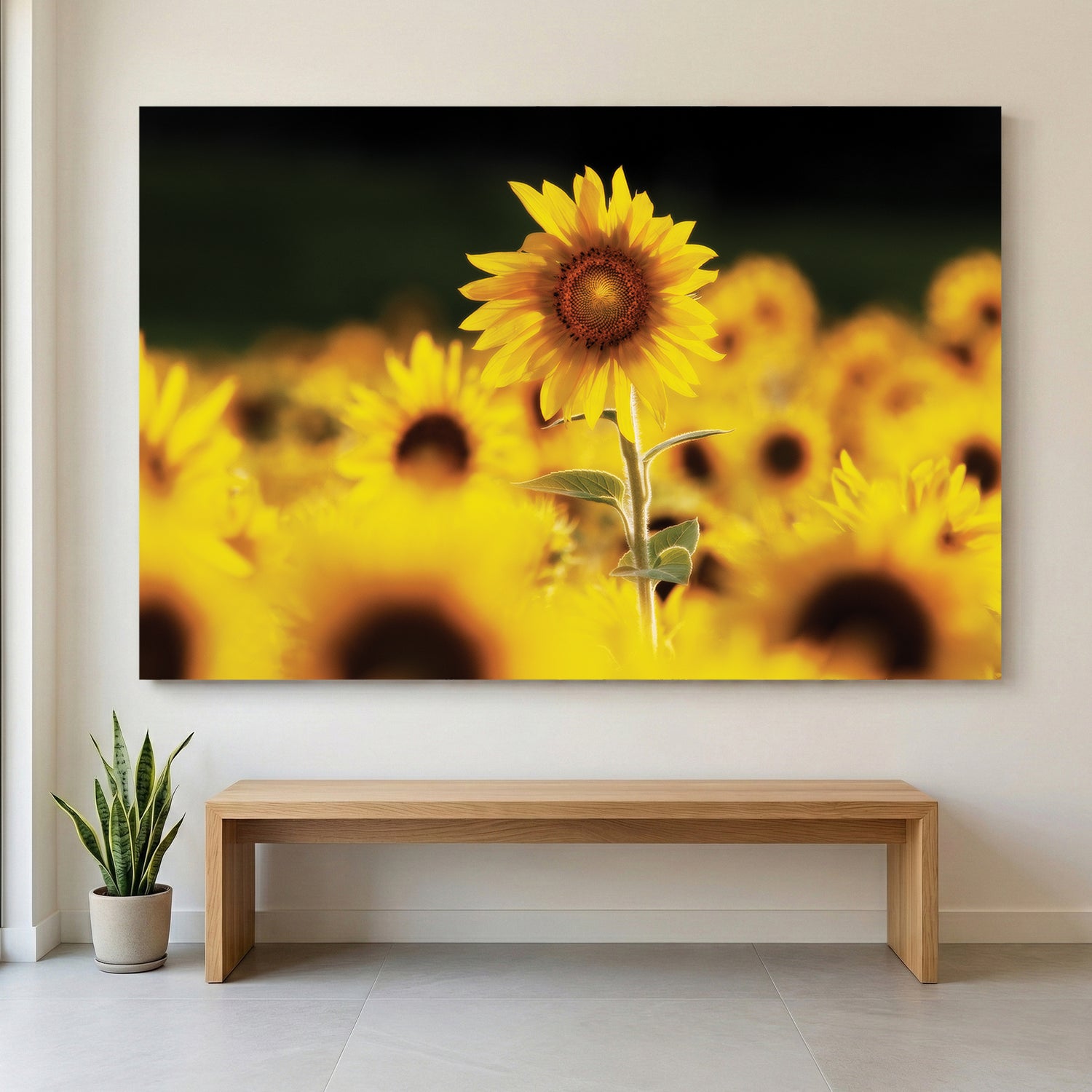 Sunflower Field canvas wall art print displayed in a styled living room