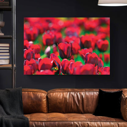 Red Tulip Field canvas wall art print styled in a modern interior