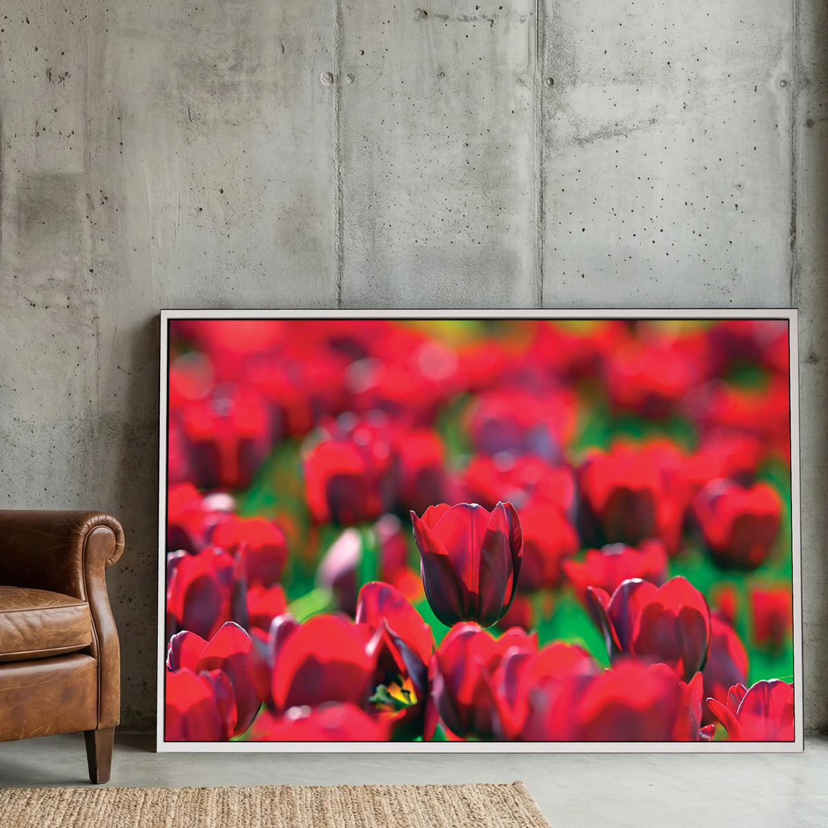 Red Tulip Field canvas wall art print displayed in a styled living room
