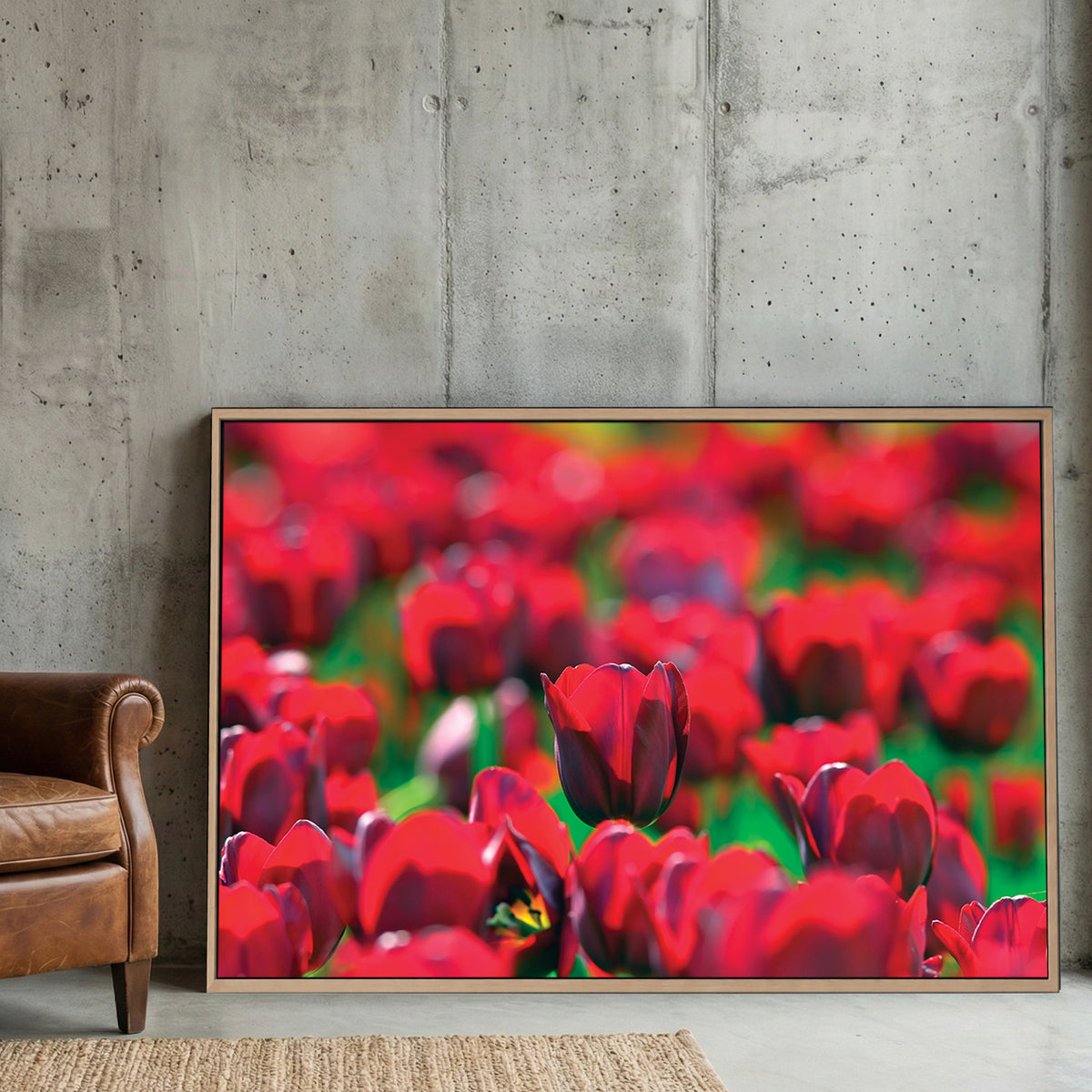 Red Tulip Field canvas wall art print displayed in a styled living room