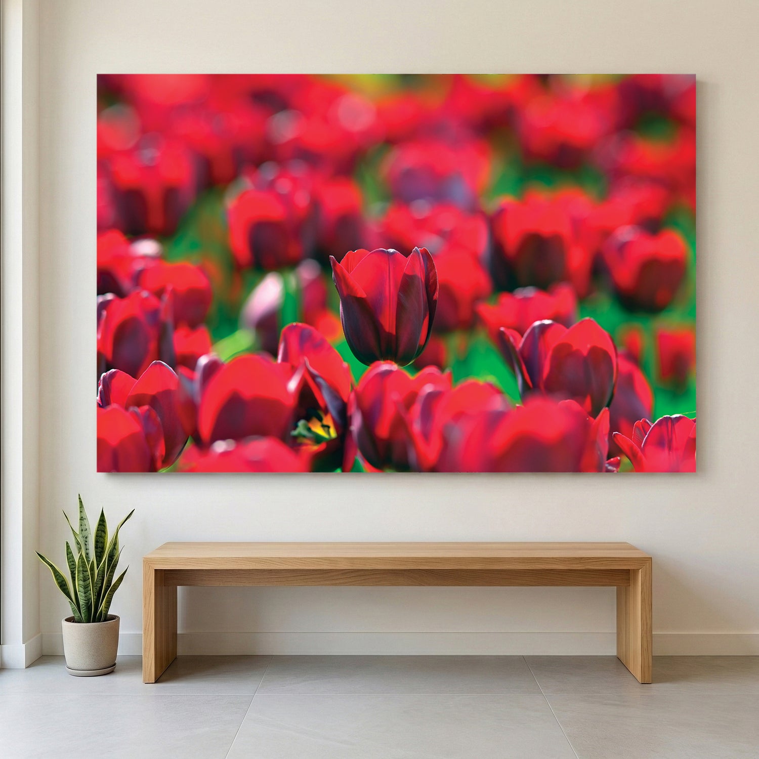 Red Tulip Field canvas wall art print displayed in a styled living room