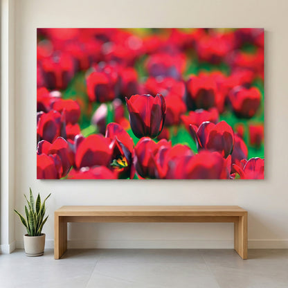 Red Tulip Field canvas wall art print displayed in a styled living room