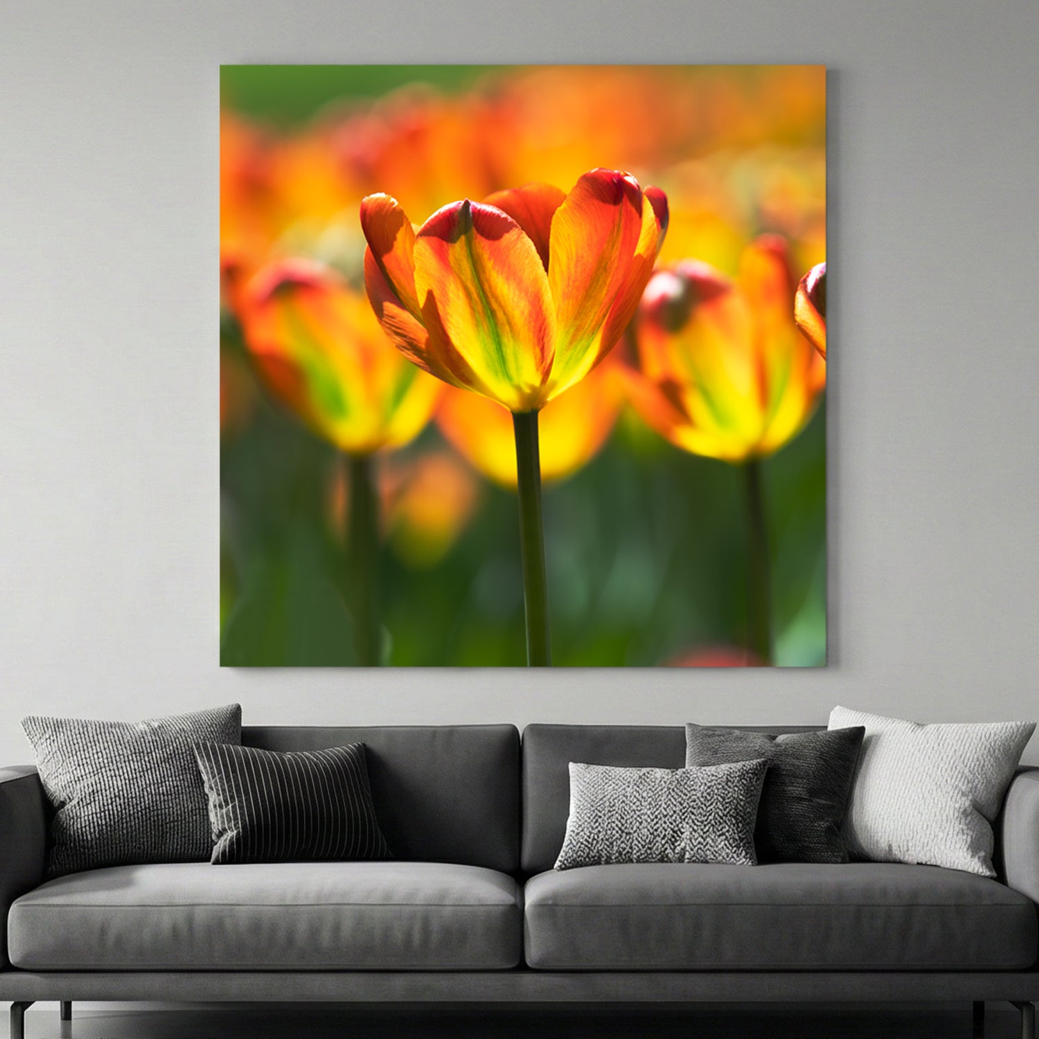 Sunlit Orange Tulips canvas wall art print above a sofa in a contemporary living room