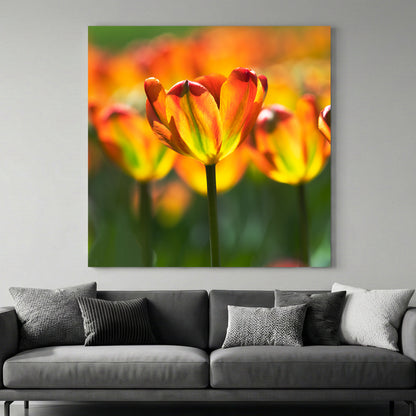Sunlit Orange Tulips canvas wall art print above a sofa in a contemporary living room