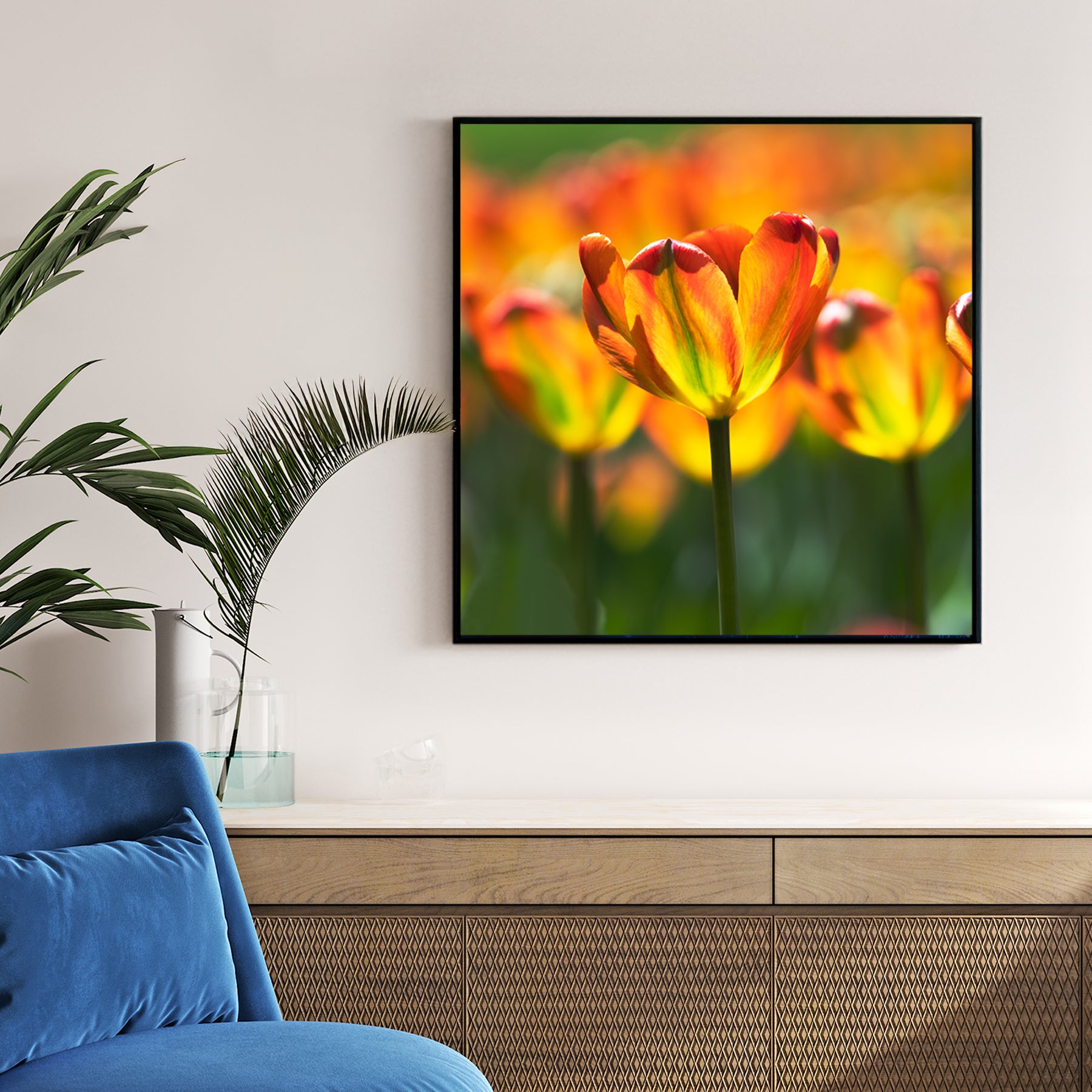 Sunlit Orange Tulips framed canvas wall art print in a gallery-style display