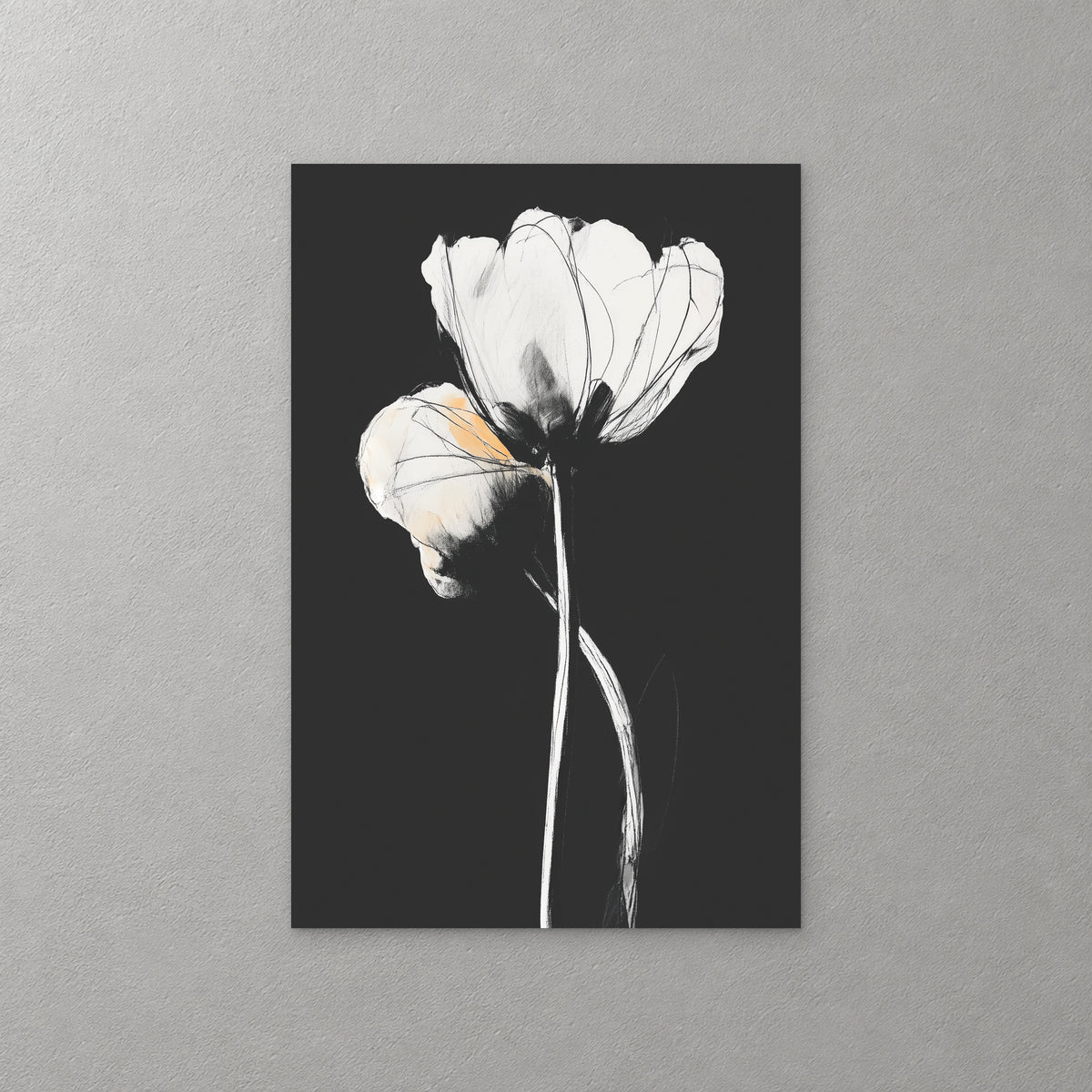 A white tulip with fine black outlines on a long white stem, set against a solid black background — canvas wall art print