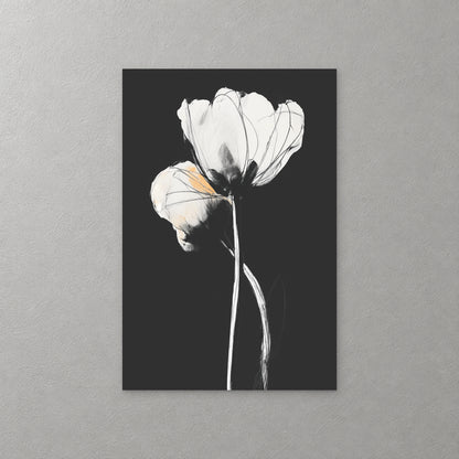 A white tulip with fine black outlines on a long white stem, set against a solid black background — canvas wall art print